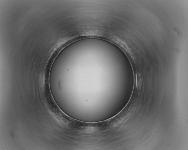 X0000110720204200906191513