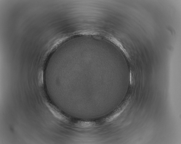X0000110720205200906191513