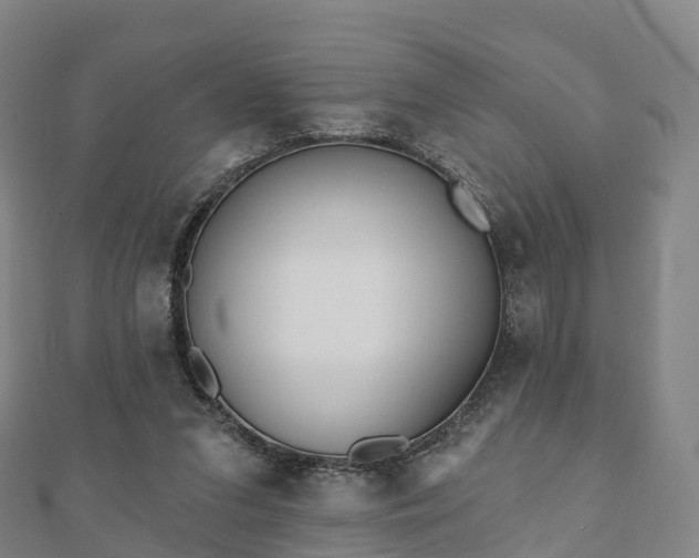 X0000110720207200906191513