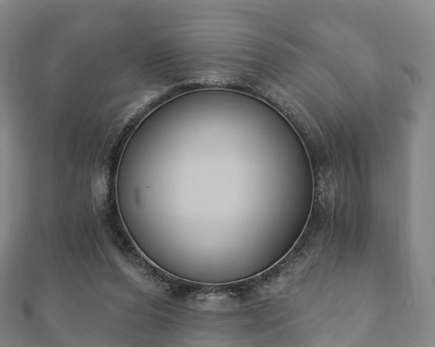 X0000110720208200906191512