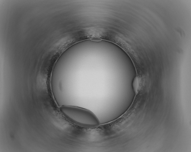 X0000110720209200906191512