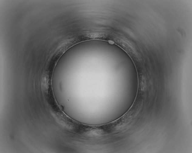X0000110720210200906191512