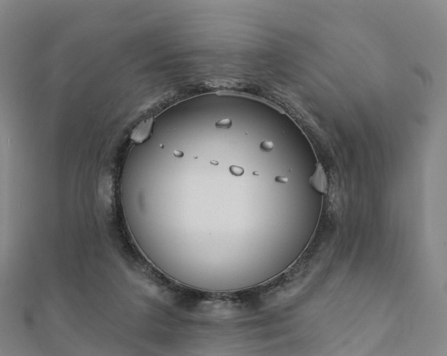 X0000110720211200906191512