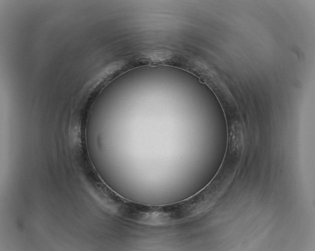 X0000110720212200906191512