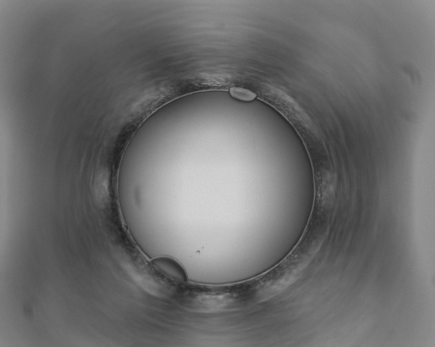 X0000110720213200906191512