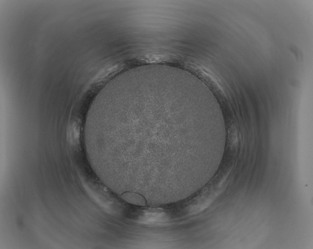 X0000110720214200906191512