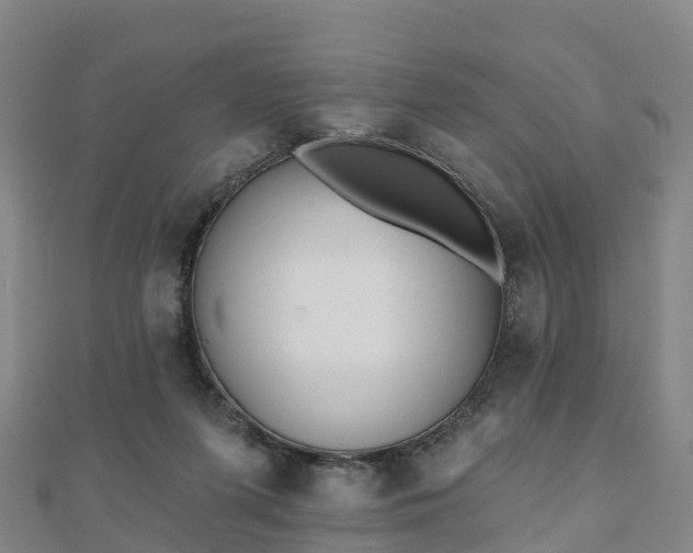 X0000110720215200906191512