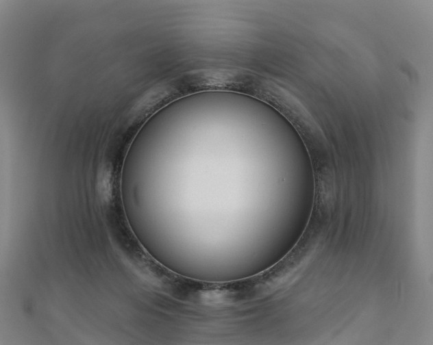 X0000110720216200906191512