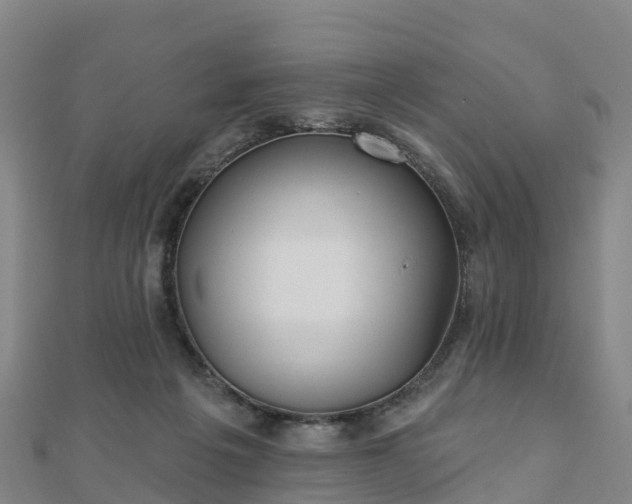 X0000110720217200906191512