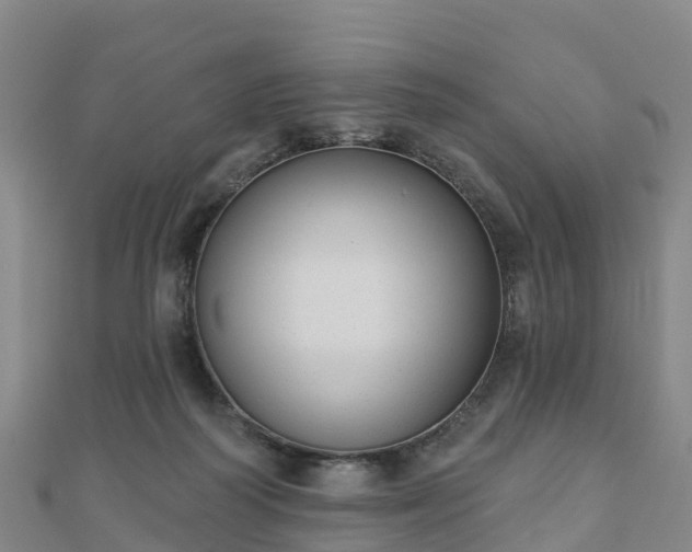 X0000110720218200906191512