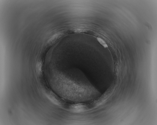 X0000110720219200906191512