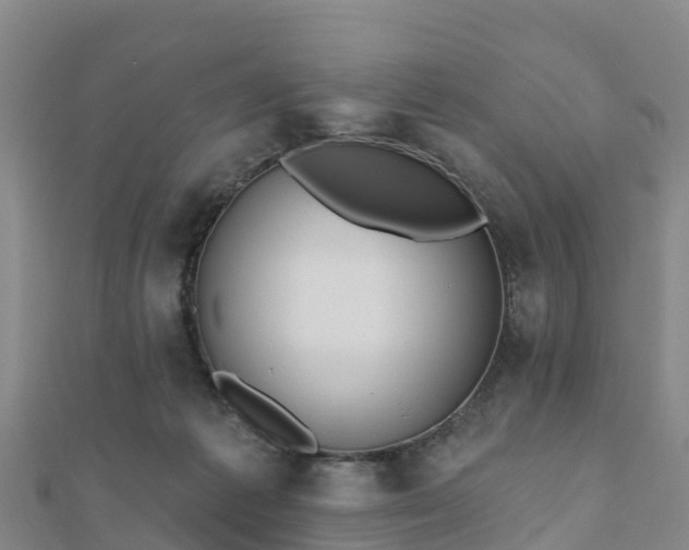 X0000110720221200906191512
