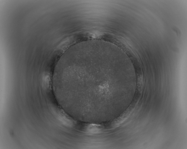 X0000110720222200906191512