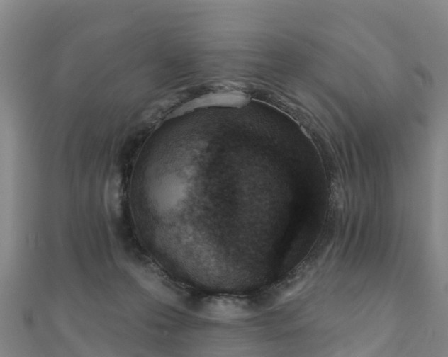 X0000110720223200906191512