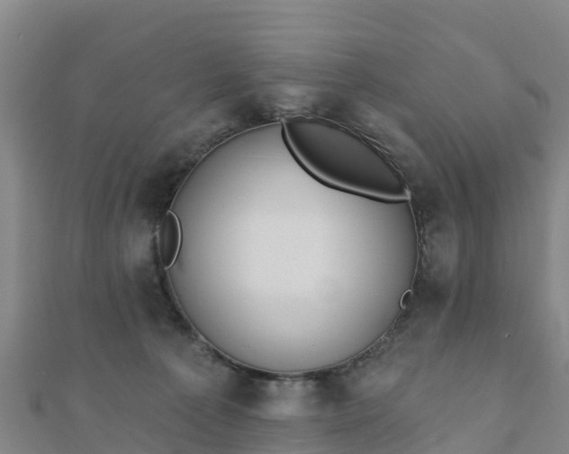 X0000110720225200906191512