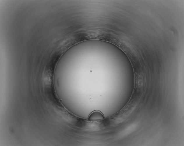 X0000110720226200906191512