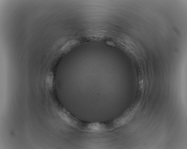 X0000110720231200906191512
