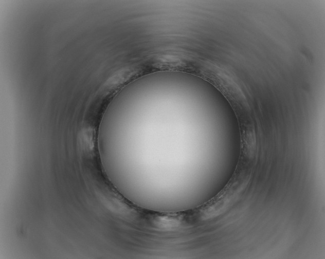X0000110720232200906191512