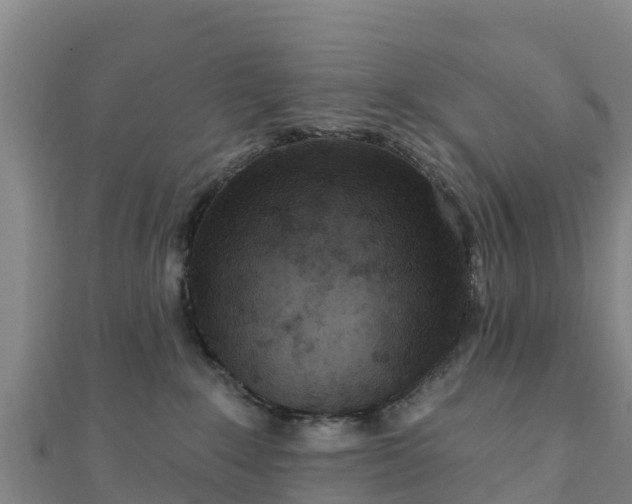 X0000110720235200906191512