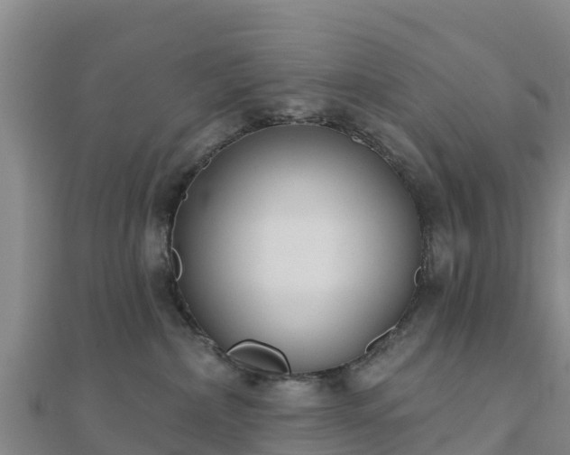 X0000110720236200906191512