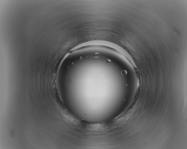 X0000110720237200906191512