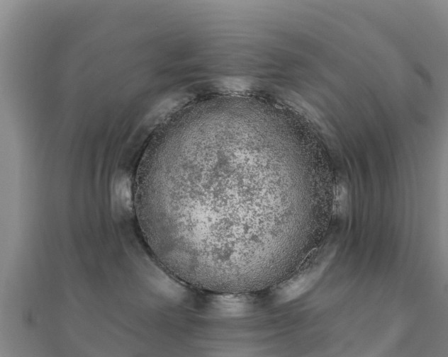 X0000110720238200906191512