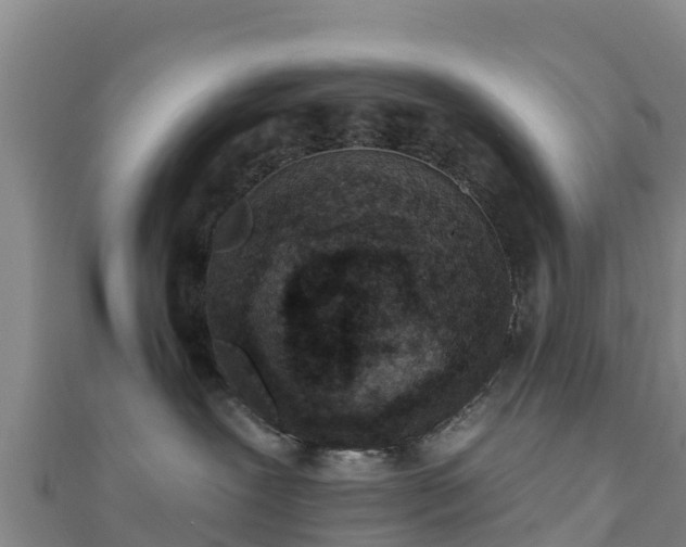 X0000110720239200906191512