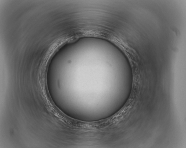 X0000110720241200906191511