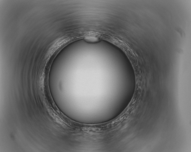 X0000110720242200906191511