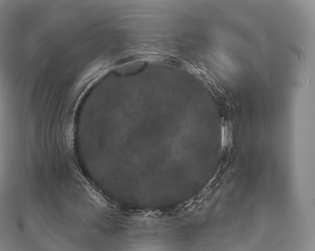 X0000110720243200906191511