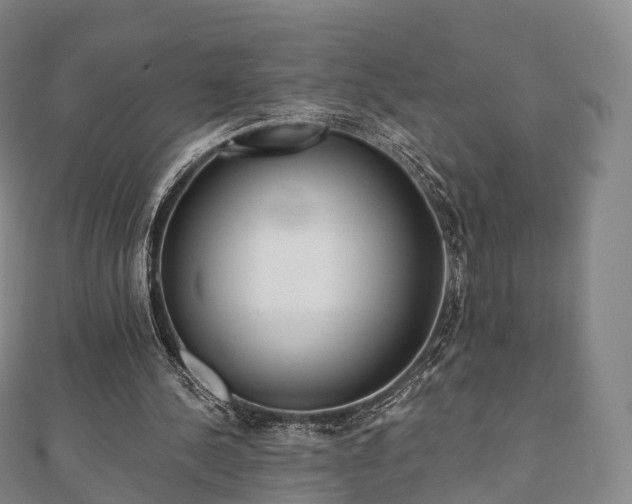 X0000110720244200906191511