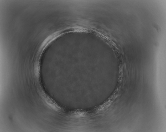 X0000110720247200906191511