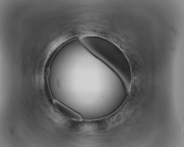 X0000110720248200906191511