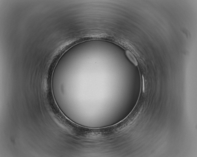 X0000110720252200906191511