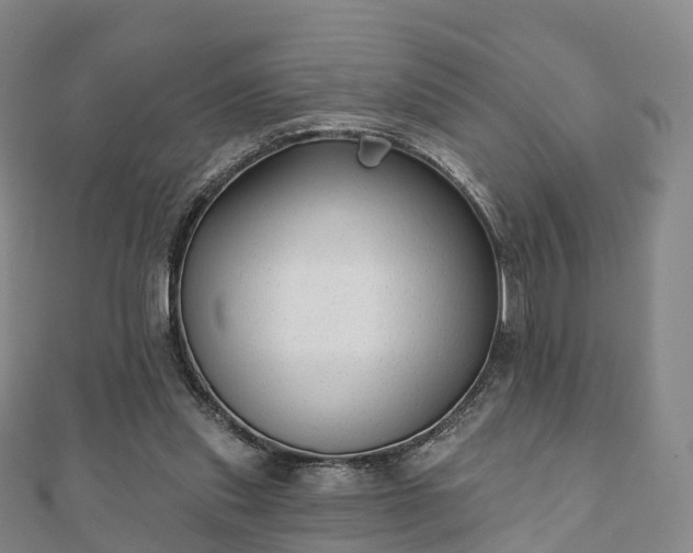 X0000110720253200906191511