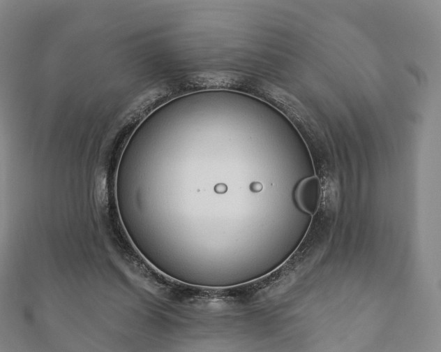 X0000110720254200906191511