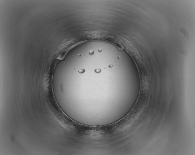 X0000110720255200906191511