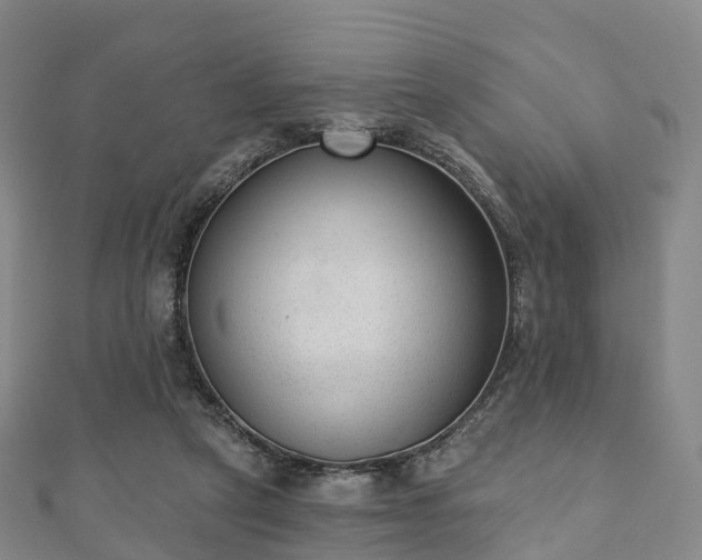 X0000110720257200906191511