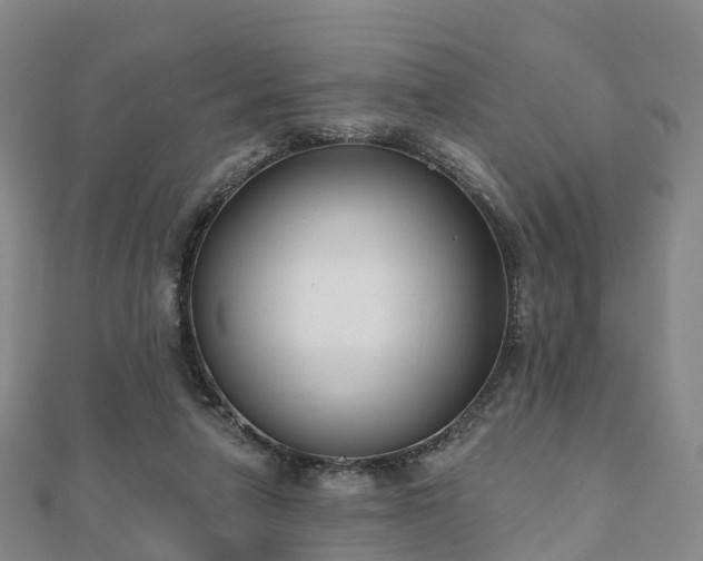 X0000110720258200906191512