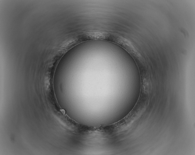 X0000110720259200906191512