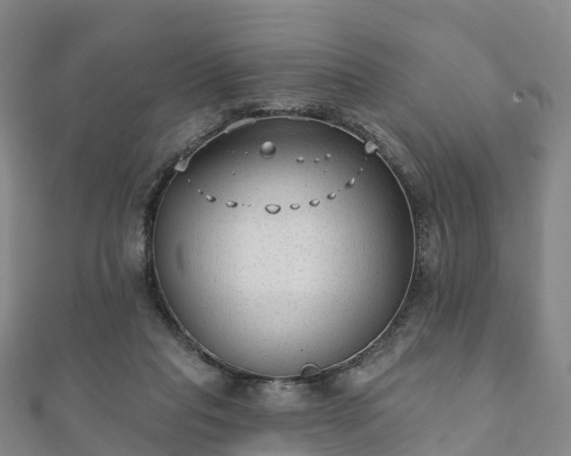 X0000110720261200906191512