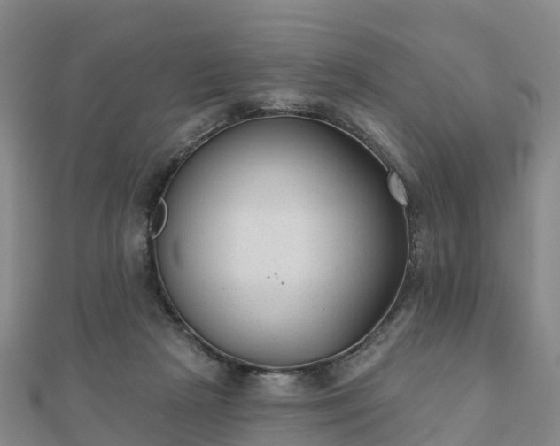 X0000110720265200906191512