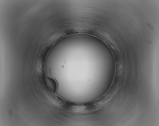 X0000110720266200906191512