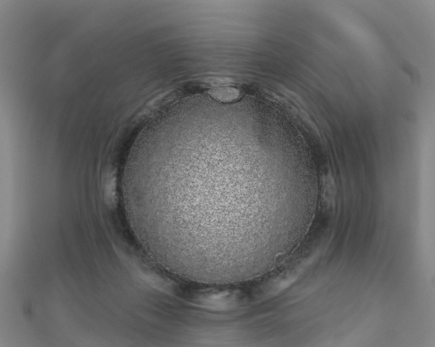 X0000110720267200906191512