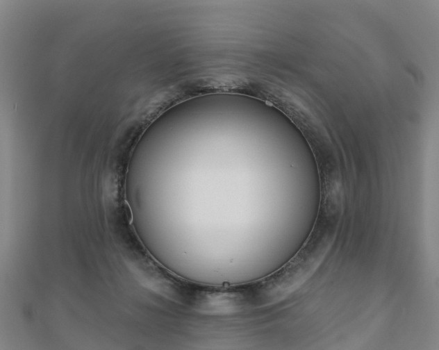 X0000110720268200906191512