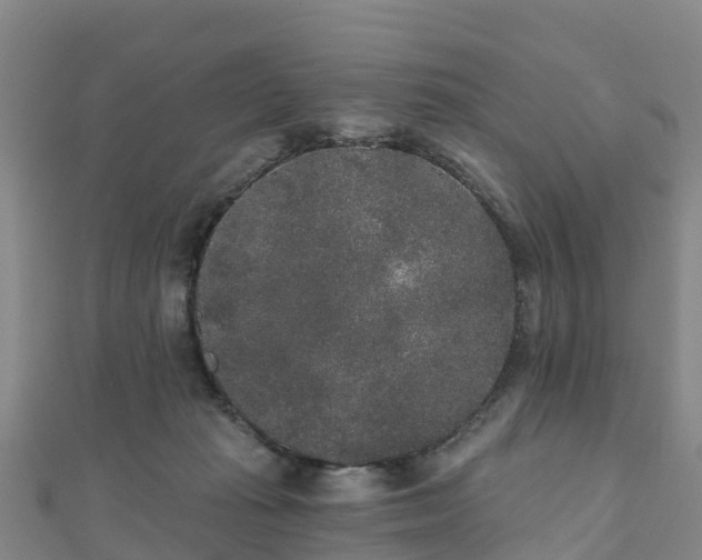 X0000110720269200906191512