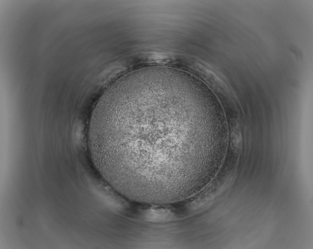X0000110720270200906191512