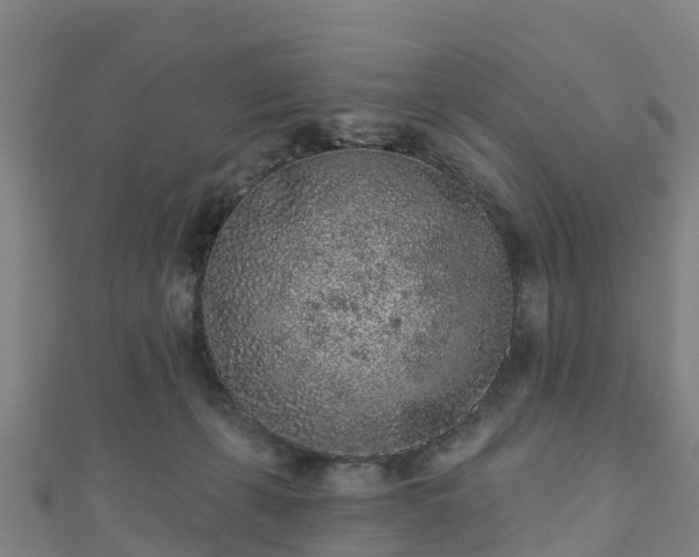 X0000110720271200906191512