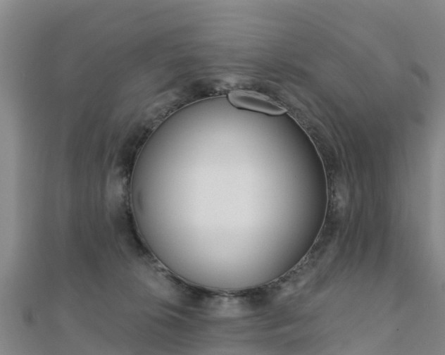 X0000110720276200906191512