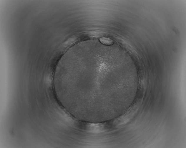 X0000110720277200906191512